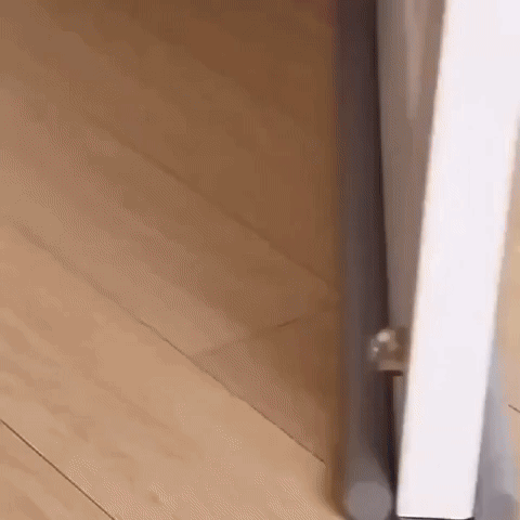 DoorShield™: Barrera protectora que evita que cucarachas, roedores e insectos entren a tu hogar. 2x1