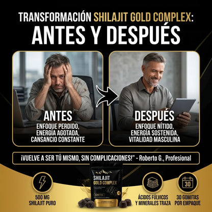 SHILAJIT GOLD COMPLEX:
